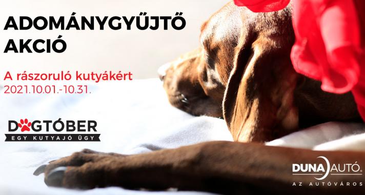 DOGTÓBER - Egy kutyajó ügy