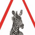 Indul a Zebra-terv!