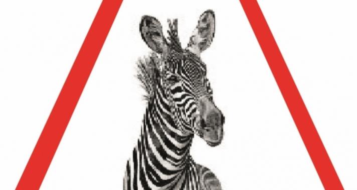 Indul a Zebra-terv!