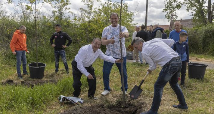 Hárs és kőrisfát ültetett Bunyós Pityuval Nagy Norbi, Vincze Feri és Gillyén Krisztián a Madarak és Fák Napján