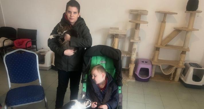 Macskaárvaházában a súlyos betegséggel született kisfiút, Zsombort