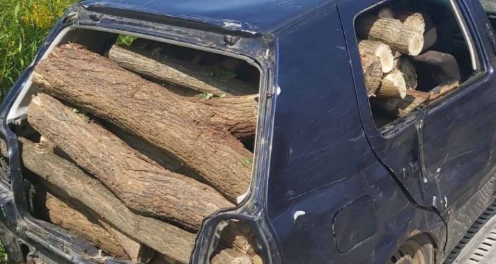 Átalakított autóval lopták a fát
